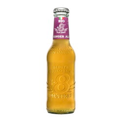 Plus Eight +8 Ginger Beer Bio 0.20L